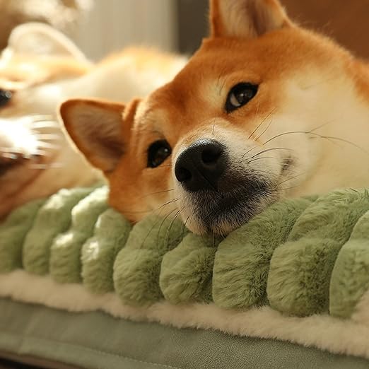 Pet Cushion