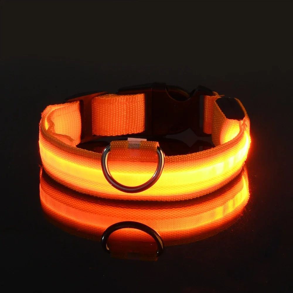 LED Nylon Dog Collar