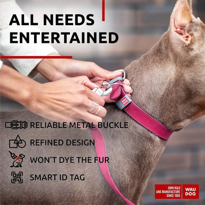 Pink Long Lasting Leather Dog Collar Adjustable for Medium Dogs 1215 inch Neck